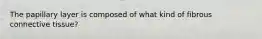 The papillary layer is composed of what kind of fibrous connective tissue?