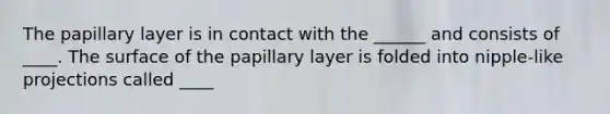 The papillary layer is in contact with the ______ and consists of ____. The surface of the papillary layer is folded into nipple-like projections called ____