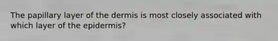 The papillary layer of the dermis is most closely associated with which layer of the epidermis?