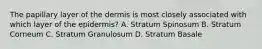 The papillary layer of the dermis is most closely associated with which layer of the epidermis? A. Stratum Spinosum B. Stratum Corneum C. Stratum Granulosum D. Stratum Basale