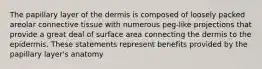 The papillary layer of the dermis is composed of loosely packed areolar connective tissue with numerous peg-like projections that provide a great deal of surface area connecting the dermis to the epidermis. These statements represent benefits provided by the papillary layer's anatomy