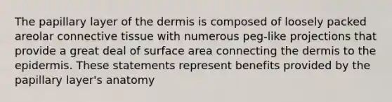 The papillary layer of the dermis is composed of loosely packed areolar connective tissue with numerous peg-like projections that provide a great deal of surface area connecting the dermis to the epidermis. These statements represent benefits provided by the papillary layer's anatomy