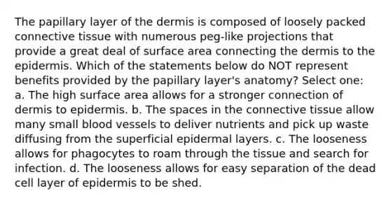 The papillary layer of <a href='https://www.questionai.com/knowledge/kEsXbG6AwS-the-dermis' class='anchor-knowledge'>the dermis</a> is composed of loosely packed <a href='https://www.questionai.com/knowledge/kYDr0DHyc8-connective-tissue' class='anchor-knowledge'>connective tissue</a> with numerous peg-like projections that provide a great deal of surface area connecting the dermis to <a href='https://www.questionai.com/knowledge/kBFgQMpq6s-the-epidermis' class='anchor-knowledge'>the epidermis</a>. Which of the statements below do NOT represent benefits provided by the papillary layer's anatomy? Select one: a. The high surface area allows for a stronger connection of dermis to epidermis. b. The spaces in the connective tissue allow many small blood vessels to deliver nutrients and pick up waste diffusing from the superficial epidermal layers. c. The looseness allows for phagocytes to roam through the tissue and search for infection. d. The looseness allows for easy separation of the dead cell layer of epidermis to be shed.