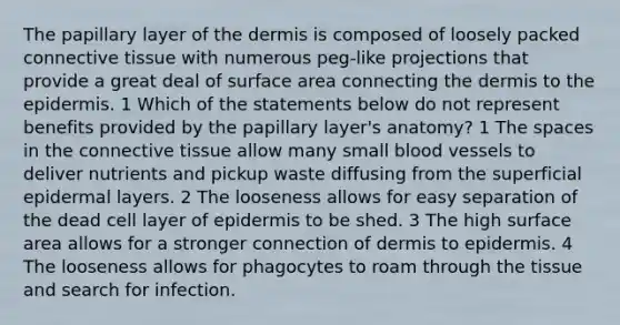 The papillary layer of the dermis is composed of loosely packed <a href='https://www.questionai.com/knowledge/kYDr0DHyc8-connective-tissue' class='anchor-knowledge'>connective tissue</a> with numerous peg-like projections that provide a great deal of <a href='https://www.questionai.com/knowledge/kEtsSAPENL-surface-area' class='anchor-knowledge'>surface area</a> connecting the dermis to <a href='https://www.questionai.com/knowledge/kBFgQMpq6s-the-epidermis' class='anchor-knowledge'>the epidermis</a>. 1 Which of the statements below do not represent benefits provided by the papillary layer's anatomy? 1 The spaces in the connective tissue allow many small blood vessels to deliver nutrients and pickup waste diffusing from the superficial epidermal layers. 2 The looseness allows for easy separation of the dead cell layer of epidermis to be shed. 3 The high surface area allows for a stronger connection of dermis to epidermis. 4 The looseness allows for phagocytes to roam through the tissue and search for infection.