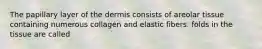 The papillary layer of the dermis consists of areolar tissue containing numerous collagen and elastic fibers. folds in the tissue are called