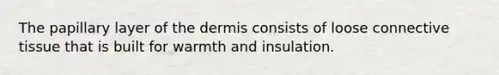 The papillary layer of <a href='https://www.questionai.com/knowledge/kEsXbG6AwS-the-dermis' class='anchor-knowledge'>the dermis</a> consists of loose <a href='https://www.questionai.com/knowledge/kYDr0DHyc8-connective-tissue' class='anchor-knowledge'>connective tissue</a> that is built for warmth and insulation.