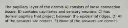 The papillary layer of the dermis A) consists of loose connective tissue. B) contains capillaries and sensory neurons. C) has dermal papillae that project between the epidermal ridges. D) All of the answers are correct. E) None of the answers are correct.