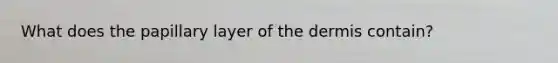 What does the papillary layer of <a href='https://www.questionai.com/knowledge/kEsXbG6AwS-the-dermis' class='anchor-knowledge'>the dermis</a> contain?