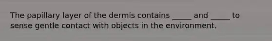 The papillary layer of the dermis contains _____ and _____ to sense gentle contact with objects in the environment.