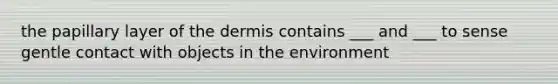 the papillary layer of the dermis contains ___ and ___ to sense gentle contact with objects in the environment