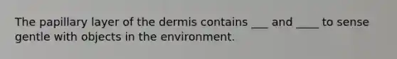 The papillary layer of the dermis contains ___ and ____ to sense gentle with objects in the environment.