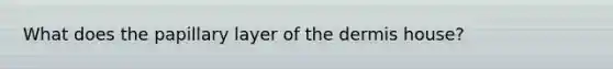 What does the papillary layer of the dermis house?
