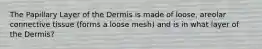 The Papillary Layer of the Dermis is made of loose, areolar connective tissue (forms a loose mesh) and is in what layer of the Dermis?