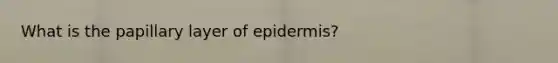 What is the papillary layer of epidermis?