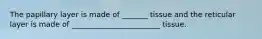 The papillary layer is made of _______ tissue and the reticular layer is made of ________________________ tissue.