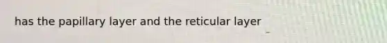 has the papillary layer and the reticular layer