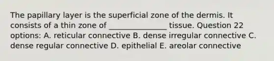 The papillary layer is the superficial zone of the dermis. It consists of a thin zone of _______________ tissue. Question 22 options: A. reticular connective B. dense irregular connective C. dense regular connective D. epithelial E. areolar connective