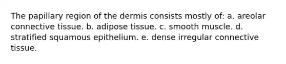 The papillary region of the dermis consists mostly of: a. areolar connective tissue. b. adipose tissue. c. smooth muscle. d. stratified squamous epithelium. e. dense irregular connective tissue.