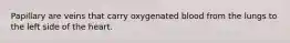 Papillary are veins that carry oxygenated blood from the lungs to the left side of the heart.