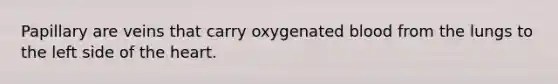 Papillary are veins that carry oxygenated blood from the lungs to the left side of <a href='https://www.questionai.com/knowledge/kya8ocqc6o-the-heart' class='anchor-knowledge'>the heart</a>.