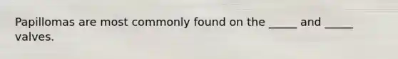 Papillomas are most commonly found on the _____ and _____ valves.