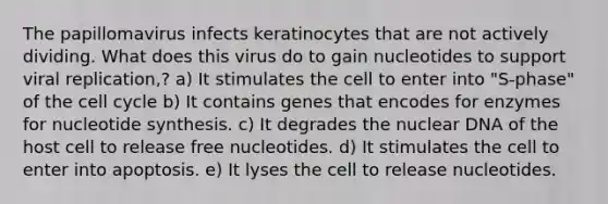 The papillomavirus infects keratinocytes that are not actively dividing. What does this virus do to gain nucleotides to support viral replication,? a) It stimulates the cell to enter into "S-phase" of the cell cycle b) It contains genes that encodes for enzymes for nucleotide synthesis. c) It degrades the nuclear DNA of the host cell to release free nucleotides. d) It stimulates the cell to enter into apoptosis. e) It lyses the cell to release nucleotides.