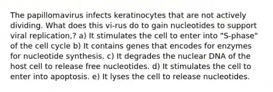 The papillomavirus infects keratinocytes that are not actively dividing. What does this vi-rus do to gain nucleotides to support viral replication,? a) It stimulates the cell to enter into "S-phase" of the cell cycle b) It contains genes that encodes for enzymes for nucleotide synthesis. c) It degrades the nuclear DNA of the host cell to release free nucleotides. d) It stimulates the cell to enter into apoptosis. e) It lyses the cell to release nucleotides.