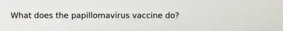 What does the papillomavirus vaccine do?