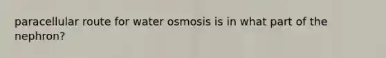 paracellular route for water osmosis is in what part of the nephron?