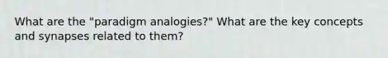 What are the "paradigm analogies?" What are the key concepts and synapses related to them?