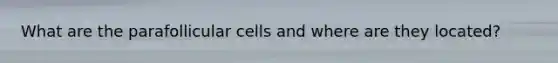 What are the parafollicular cells and where are they located?