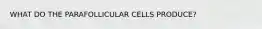 WHAT DO THE PARAFOLLICULAR CELLS PRODUCE?