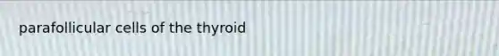 parafollicular cells of the thyroid