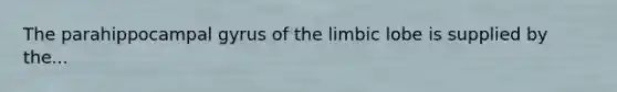 The parahippocampal gyrus of the limbic lobe is supplied by the...