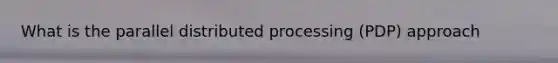 What is the parallel distributed processing (PDP) approach