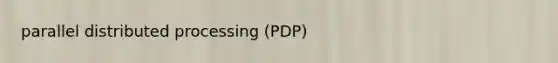 parallel distributed processing (PDP)