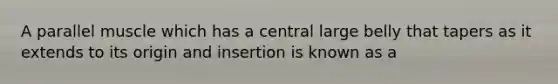 A parallel muscle which has a central large belly that tapers as it extends to its origin and insertion is known as a