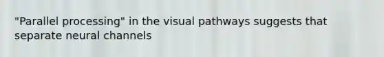 "Parallel processing" in the visual pathways suggests that separate neural channels