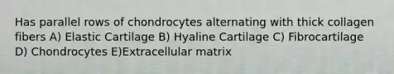 Has parallel rows of chondrocytes alternating with thick collagen fibers A) Elastic Cartilage B) Hyaline Cartilage C) Fibrocartilage D) Chondrocytes E)Extracellular matrix