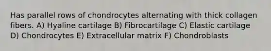 Has parallel rows of chondrocytes alternating with thick collagen fibers. A) Hyaline cartilage B) Fibrocartilage C) Elastic cartilage D) Chondrocytes E) Extracellular matrix F) Chondroblasts