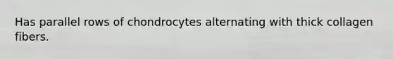 Has parallel rows of chondrocytes alternating with thick collagen fibers.