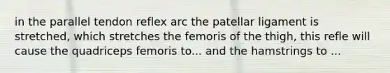 in the parallel tendon reflex arc the patellar ligament is stretched, which stretches the femoris of the thigh, this refle will cause the quadriceps femoris to... and the hamstrings to ...