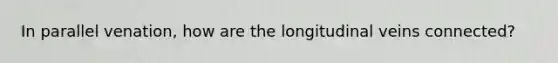 In parallel venation, how are the longitudinal veins connected?