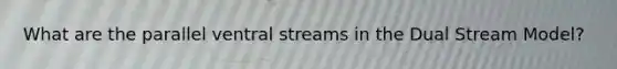 What are the parallel ventral streams in the Dual Stream Model?