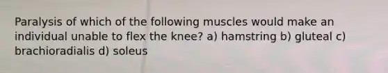 Paralysis of which of the following muscles would make an individual unable to flex the knee? a) hamstring b) gluteal c) brachioradialis d) soleus