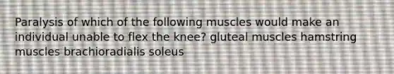 Paralysis of which of the following muscles would make an individual unable to flex the knee? gluteal muscles hamstring muscles brachioradialis soleus