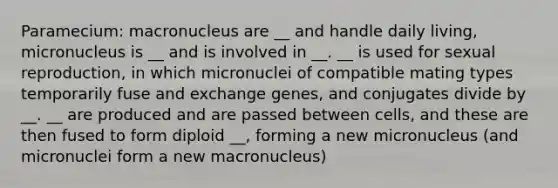 Paramecium: macronucleus are __ and handle daily living, micronucleus is __ and is involved in __. __ is used for sexual reproduction, in which micronuclei of compatible mating types temporarily fuse and exchange genes, and conjugates divide by __. __ are produced and are passed between cells, and these are then fused to form diploid __, forming a new micronucleus (and micronuclei form a new macronucleus)