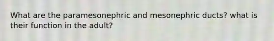 What are the paramesonephric and mesonephric ducts? what is their function in the adult?