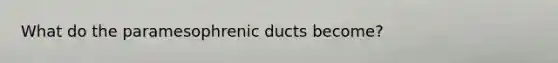 What do the paramesophrenic ducts become?