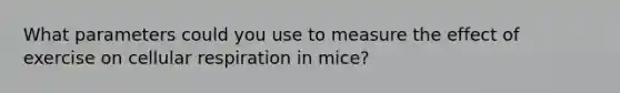 What parameters could you use to measure the effect of exercise on cellular respiration in mice?